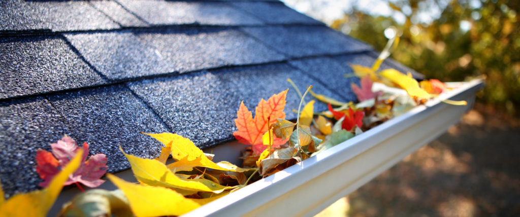 leaves in a gutter, KL and Sons Building Services, Devizes, Marlborough, Calne, Bath